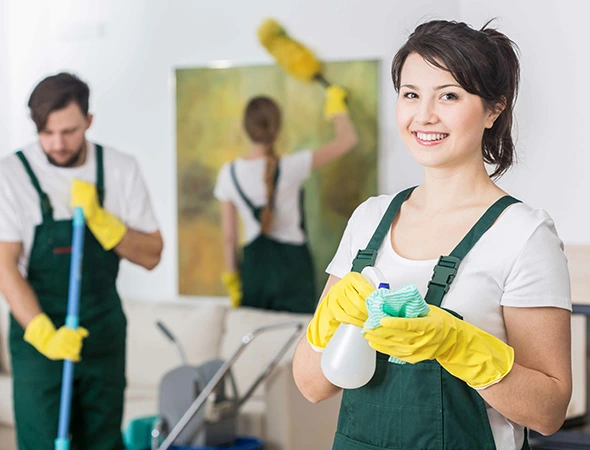 Basic House Cleaning in Sterling VA
