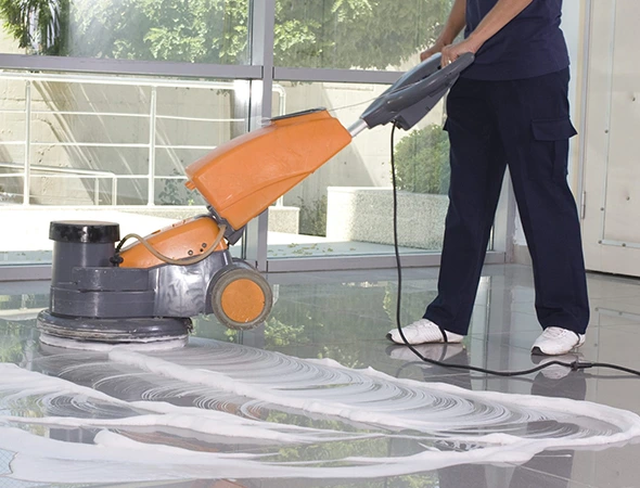 Detailed Upholstery Cleaning in Sterling