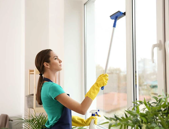 Professional Residential Window Cleaning in Waterford VA